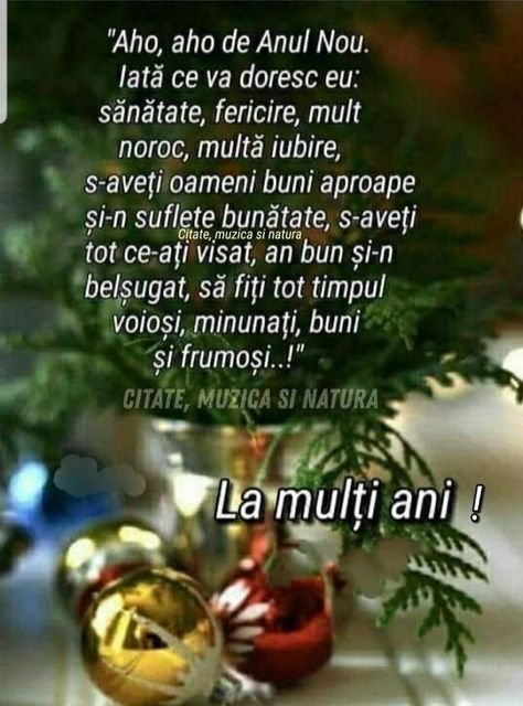 Romanian Quote, An Nou Fericit, Happy Wishes, New Year’s Eve, Birthday Messages, Happy New Year, Spirituality, Christmas, Mariana