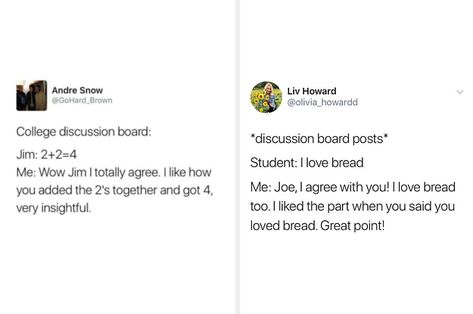 17 Tweets About Discussion Board Posts That Are Brutally Honest College Discussion Board, Discussion Post College, College Life Humor, College Memes Funny, Funny College Meme, Debate Memes High School, College Humor Memes Student, Meme College Finals, College Memes