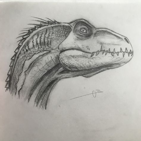 Dino Drawing, Dinosaur Sketch, Draw Realistic, Dinosaur Drawing, Paleo Art, Dinosaur Art, Dragon Drawing, Pencil Art Drawings, Prehistoric Animals