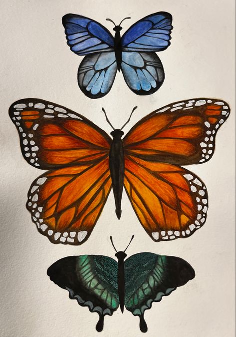 cute butterfly watercolor artwork #colorful #watercolor #painting #aesthetic #insect #butterfly #moth #drawing #painting #realistic #realism #pretty #aesthetic #art #inspiration #inspo #symmetrical Butterfly Realistic Drawing, Realistic Butterfly Drawing, Symmetrical Painting, Watercolor Painting Aesthetic, Symmetrical Butterfly, Symmetrical Drawing, Butterfly Watercolor Painting, Moth Drawing, Artwork Colorful