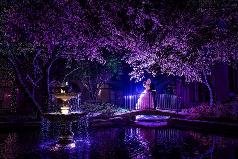 Langham Pasadena Wedding, Wedding Bridge, Pasadena Wedding, Pink Wedding Gowns, Japanese Wedding, Michael Anthony, Japanese Gardens, Los Angeles Wedding Photographer, Fun Wedding Photography