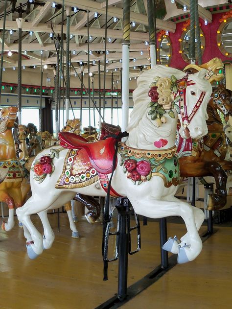 Playland Floral Horse, Rye, NY Carosel Horse Aesthetic, Carousel Horse Photography, Carasoul Horse, Painted Carousel Horse, Carousel Horses Vintage Drawing, Gothic Carousel Horse, Old Carousel Horse, Wooden Horse, Amusement Park Rides