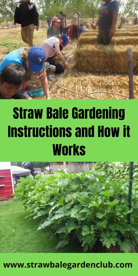 Garden Growth, Gardening, SBG method, Straw Bale Garden, Bigger Plants, Better Yields- Straw Bale Gardening Method, Straw Bale Gardening, Howto_Start_Straw_Bale_Garden, What is Straw Bale Gardening Hay Bale Gardening Raised Beds, Straw Bale Gardening Layout, Strawbale Garden, Straw Gardening, Haybale Gardening, Straw Garden, Hay Bale Gardening, Strawbale Gardening, Straw Bale Garden