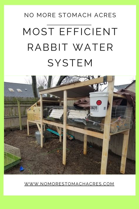 Honest review of rabbit watering systems. Everything from bottles to pump driven systems. Make your rabbit water system the most useful and time efficient. Automatic Rabbit Watering System, Diy Rabbit Watering System, Rabbit Watering System, Rabbitry Setup, Rabbit Waterer, Pet Diys, Drip Watering System, Rabbits For Meat, Rabbit Water Bottle