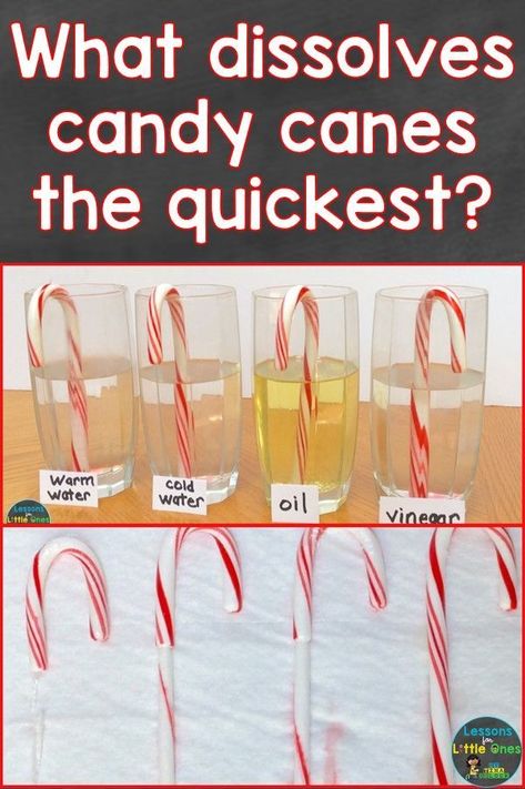 Christmas School Work, Christmas Science Experiments For Kindergarten, Christmas Party Ideas For Classroom, Christmas Science Experiments Preschool, Preschool Winter Science Activities, Christmas Science Projects, Elementary Christmas Activities, Holiday Stem Activities Preschool, Christmas Activities For Classroom