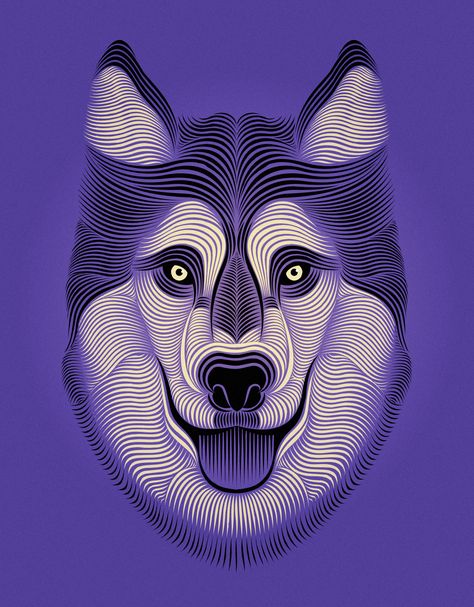 Patrick Seymour Trippy Animal Drawings, Husky Illustration, Wolf Logo Art, Patrick Seymour, Geometric Wolf Wallpaper, Trippy Wolf Art, University Of Washington Huskies, Geometric Wolf, Linear Art