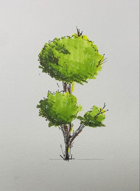 Easy tree marker rendering for architectural drawings Tree Drawing Marker, Marker Painting Drawings, Marker Tree Drawing, Easy Tree Sketch, Tree Alcohol Markers, Tree Drawing With Color, Tree Drawing Architecture, Trees Rendering, Marker Drawing Easy