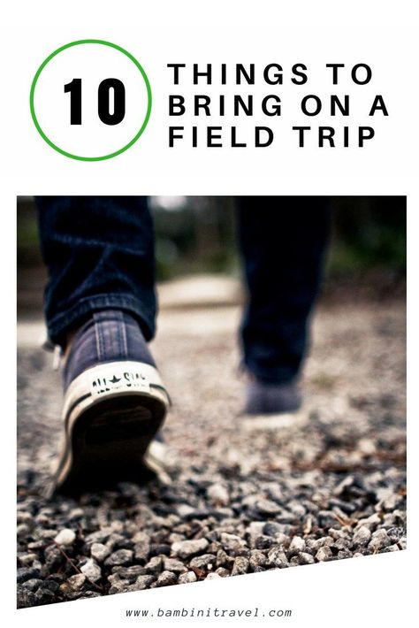 10 Things to Bring on a Field Trip with Toddlers, Preschoolers through Early Elementary School Things To Bring On A Field Trip, Things To Bring On A School Field Trip, What To Bring On A Field Trip For School, Field Trip Chaperone Outfit, Field Trip Outfit Ideas, School Field Trip Outfit, Field Trip Outfit, Preschool Field Trip, Walk Idea