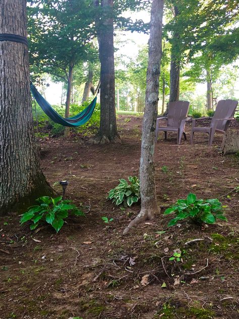 Rustic sitting area in our backyard Woodsy Outdoor Sitting Area, Sitting Area In Woods, Forest Sitting Area, Tree Sitting Area, Woodsy Backyard Ideas, Farmhouse Property, Wooded Backyard Landscape, Outdoor Fire Pit Area, Sloped Backyard Landscaping