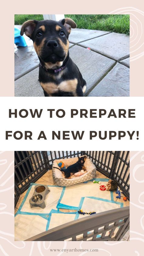 Are you getting ready to pickup your new furbaby? Find out what you need to safely get them home, prepare your home, feed your new puppy, and more. Plus, the best new puppy supplies to help you and your pup transition easily. Preparing For New Puppy, New Puppy Set Up Home, Puppy Ideas Bringing Home, Bringing Puppy Home, Adopting A Puppy, New Puppy Set Up, Puppy Must Haves Products, Puppy Set Up Ideas, Puppy Preparation