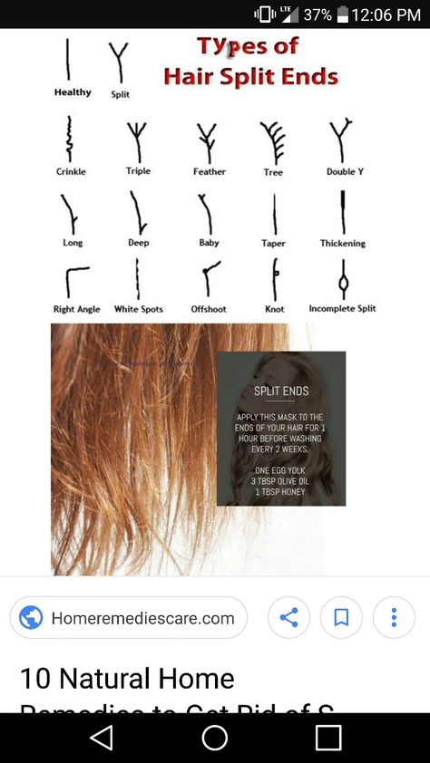 Types of split ends Types Of Split Ends, Split Ends Hair, How To Split, Split End, Hair Growing Tips, Hair Growing, Split Hair, Glo Up, Growing Tips