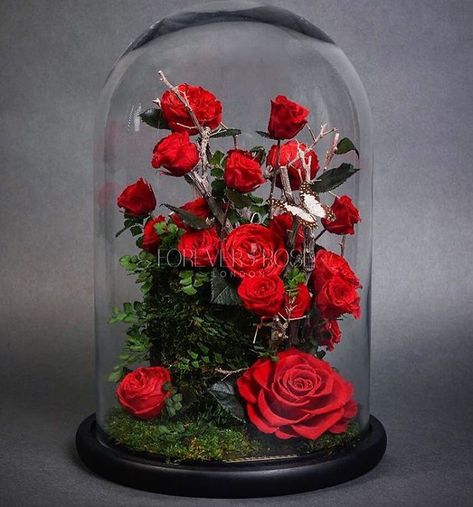 Real Beauty And The Beast Roses Exist, And They'll Last For 3 Years Beauty And Beast Rose, Small Arrangements, Rose London, Artificial Orchids, Valentines Roses, Enchanted Rose, Forever Rose, Flowers Bouquet Gift, Preserved Roses