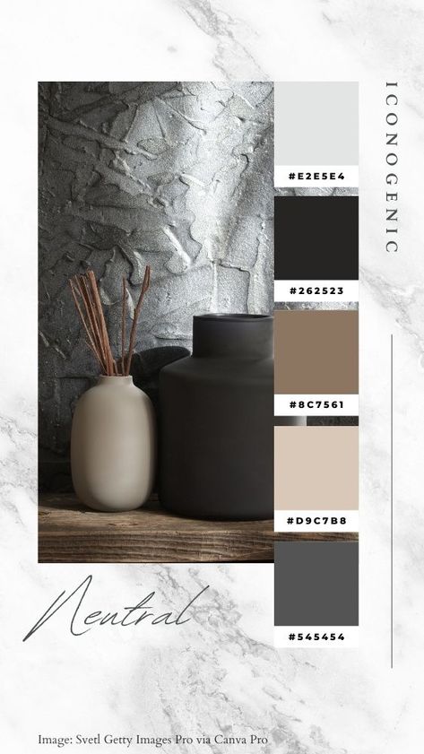 Grey Palette Colour Schemes, Cool Neutral Color Palette, Charcoal Color Palette, Style Tips And Tricks, Color Palette Interior Design, Black Living, Color Palette Living Room, Beige Color Palette, Black Color Palette