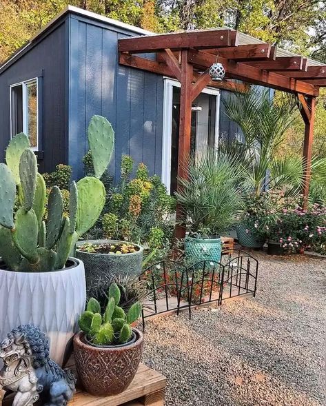 19 Desert Landscaping Ideas to Try Desert Landscape Ideas, Desert Landscaping Ideas, Backyard Arizona, Desert Landscaping Backyard, Desert Backyard, Arizona Backyard, Gravel Landscaping, Narrow Garden, Drought Tolerant Garden