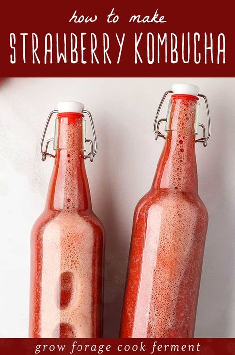 Learn How to Make Strawberry Kombucha with our simple guide. A probiotic-rich beverage that's refreshing and easy to brew. Using SCOBY and frozen strawberries, it's a must-try for fans of Homemade Kombucha & Kombucha Flavors Recipes. This drink is perfect for those exploring fermentation, combining health benefits and delicious taste. Find more fermentation for beginners, home brewing recipes, and healthy drink recipes at growforagecookferment.com. Second Fermentation Kombucha, Strawberry Kombucha, Pineapple Kombucha, Kombucha Flavors Recipes, Benefits Of Kombucha, Healthy Drink Recipes, Soda Stream Recipes, Best Kombucha, Kombucha Bottles