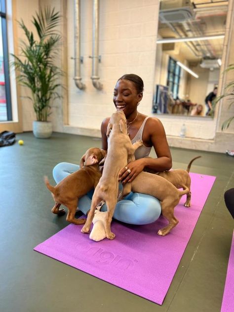 Puppy Yoga London, Yoga With Puppies, Puppy Yoga Aesthetic, Visualising Data, Yoga Content, Puppy Yoga, Dog Massage, Yoga Place, Campus Activities