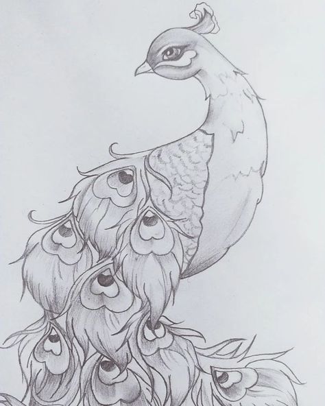 Peacock 🦚 quick sketch #sketching #sketchingdaily #birdssketching #peacocktattoo #peacock #peacocksketching Picoke Bird, Peacock Drawings, Peacock Sketch, Peacock Drawing, Peacock Tattoo, Practice Drawing, Art Poster Design, April 13, Quick Sketch