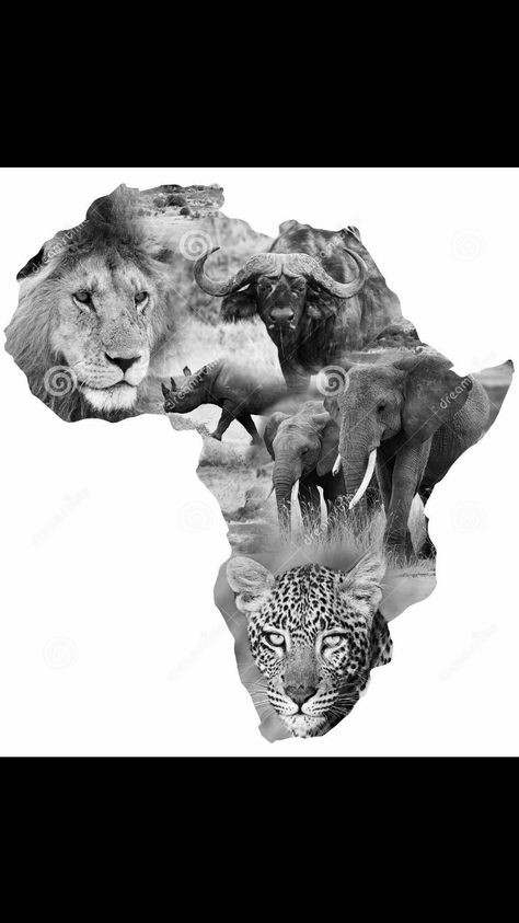 Africa big 5 tattoo design Big 5 Tattoo, Africa Big 5, African Animals Photography, 5 Tattoo, Africa Tattoos, Landscape Silhouette, Tier Tattoo, Animal Outline, African Tattoo