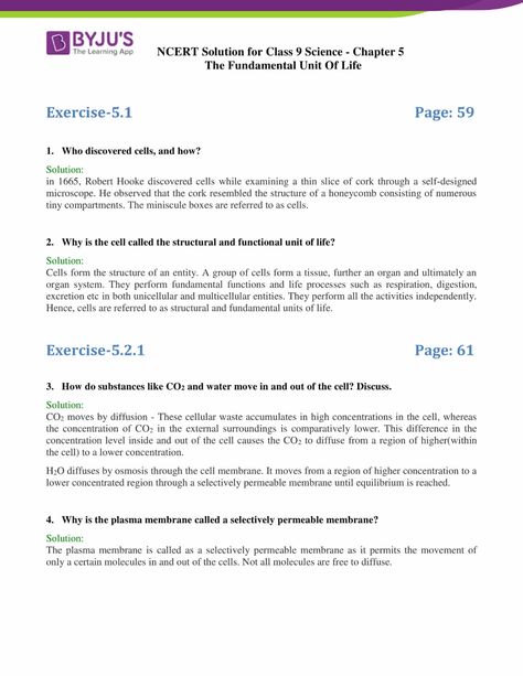 class 9 science chapter 5 Fundamental Unit of Life part 1 The Fundamental Unit Of Life, Cell Definition, Robert Hooke, Cell Organelles, The Faculty, Previous Year Question Paper, Animal Cell, Class 9, 5th Grade Science