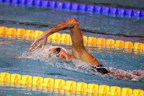 Unlock a faster and more efficient freestyle stroke with this list of seven proven tips for a killer freestyle. Tips For Swimmers, How To Swim Faster, Dryland Workout, Breaststroke Swimming, Better Posture Exercises, Freestyle Swimming, Swim Technique, Swimming Memes, Swimming Strokes