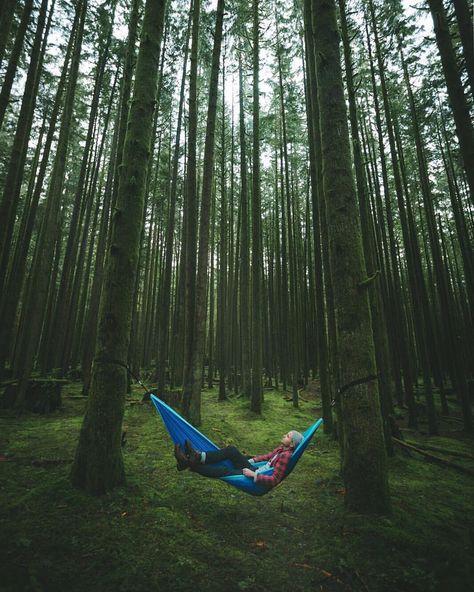 Sleep Under The Stars, Camping Hammock, Sleeping Under The Stars, Hammock Camping, Winter Camping, Camping Activities, Outdoor Lover, Closer To Nature, Camping Experience