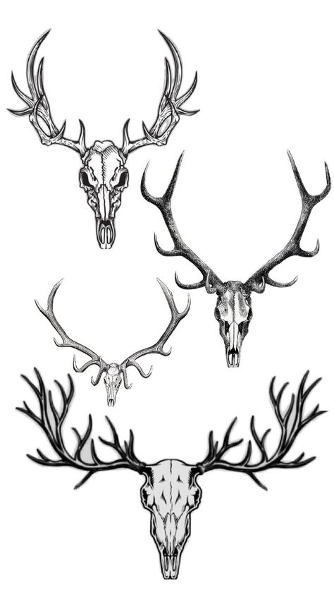 Buck Skull, Skull Tattoos, Tattoos