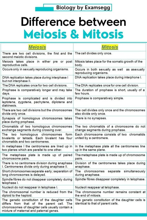 difference between Mitosis and Meiosis Mitosis Vs Meiosis Notes, Biology Mitosis Meiosis Notes, Meiosis Vs Mitosis, Biology Notes Mitosis, Mitosis And Meiosis Notes, Neet Biology Notes, Biology Meiosis, Meiosis Notes, Mitosis Notes