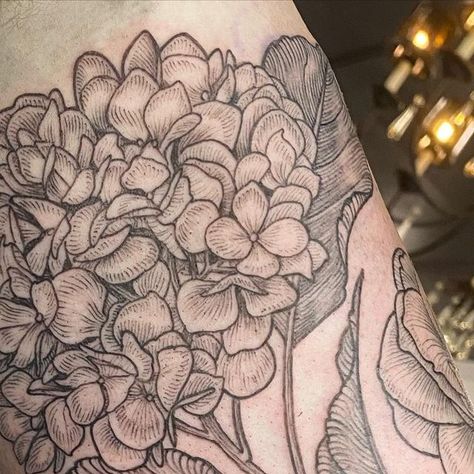 Maggie on Instagram: "Added hydrangea and camellias to this big sleeve in progress 😊 Thank you James!" Hydrangea Tattoo Sleeve, Tutu Tattoo, Hydrangea Tattoo, Big Sleeves, Tattoo Sleeve, Tattoos Ideas, Tattoo Inspo, Tattoos And Piercings, Sleeve Tattoos