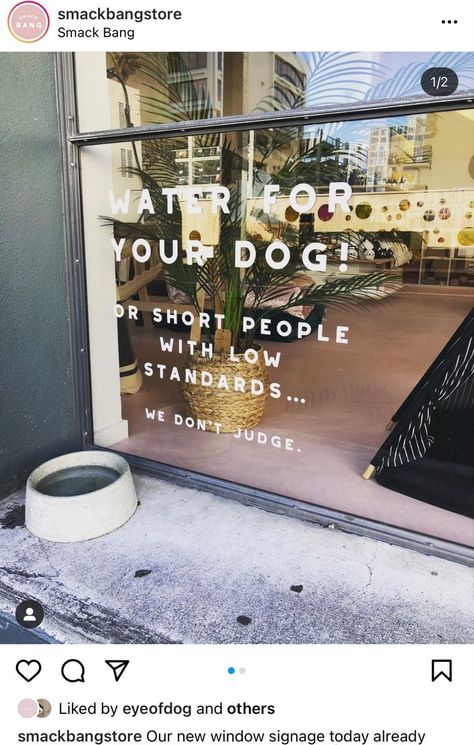 Dog Store Interior Design, Dog Grooming Store Fronts, Small Botique Interiors Ideas Dog, Dog Grooming Window Display, Dog Themed Coffee Shop, Pet Retail Store Design, Dog Bakery Interior Design, Dog Retail Store, Doggie Boutique Ideas