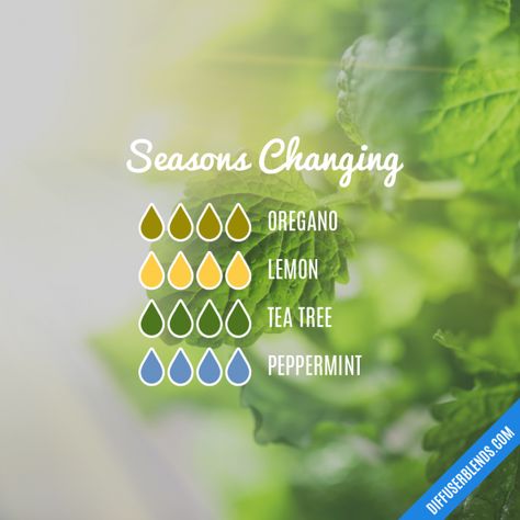 Seasons Changing, Young Living Diffuser, Diy Wax Melts, Young Living Recipes, Eo Blends, Oregano Essential Oil, Essential Oil Combinations, Essential Oils 101, Doterra Essential Oils Recipes