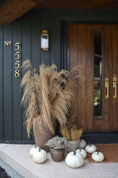 Shade Plants Container, Fall Container Plants, Fall Container Gardens, Fall Containers, Fall Planters, Fall Front Porch Decor, Fall Front Door, Modern Fall, Fall Front Porch