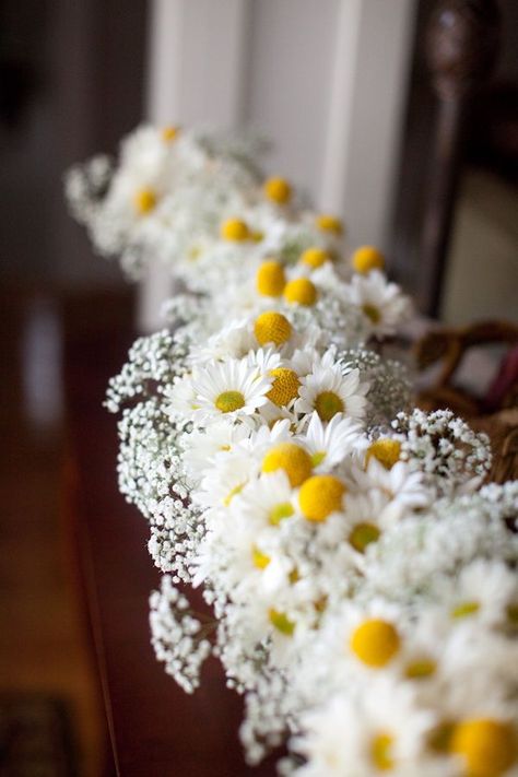 Daisy Wedding Themes | Team Wedding Blog #weddingcake #daisies #teamwedding #weddingideas South Carolina Beach Wedding, Daisy Wedding Theme, Billy Balls, Daisy Wedding, Yellow Wedding, Deco Floral, Wedding Aisle, Baby's Breath, Wedding Flower Arrangements