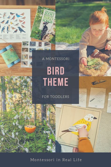 Bird-Themed Activities for Toddlers — Montessori in Real Life Forest School Bird Activities, Bird Sensory Bin, Bird Activities, Bird Study, Birds Theme, Montessori Printables, Preschool Sensory, Lesson Plans For Toddlers, Homeschool Preschool Activities