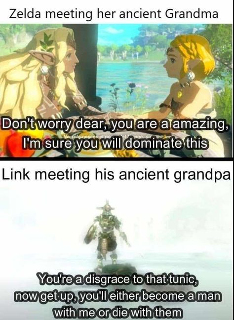 Loz Memes Funny, Echoes Of Wisdom Zelda, Zelda Memes Funny, Zelda And Link Matching Pfp, Zelda Link Between Worlds, Zelda Tumblr, Princess Zelda Art, Botw Art, Link Funny