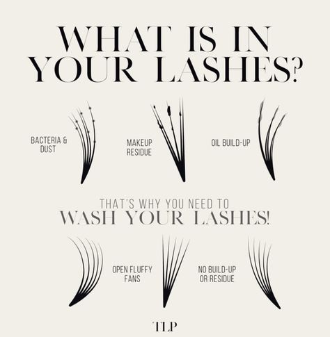 Your lash artist can literally tell what you’ve been up to by your lashes if you don’t wash them👀😂😂 The most common one I see is oil build up!!! ( if your lash fans start looking “wet” and clumped together even when they’re dry… you have an oil build up!! ) 😭 It’s easy to happen and you dont have to wear ANY makeup for this to happen- so here’s your lil reminder to wash those lashes regularly 🥰🥰 #customlashextensions #lashextensions #lashposts #lashquotes #lashbusinessowner #beautytips #... How To Wash Your Lash Extensions, Wash Your Lashes, Lash Instagram, Lash Course, Lash Fans, Lash Maps, Lash Quotes, Lash Room, Salon Interior Design