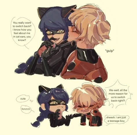 Mlb Fan Art, Catnoir And Ladybug, Miraculous Ladybug Kiss, Ladybug Wallpaper, Miraculous Ladybug Oc, Miraculous Ladybug Memes, Miraculous Ladybug Fanfiction, Marinette And Adrien, Miraculous Characters