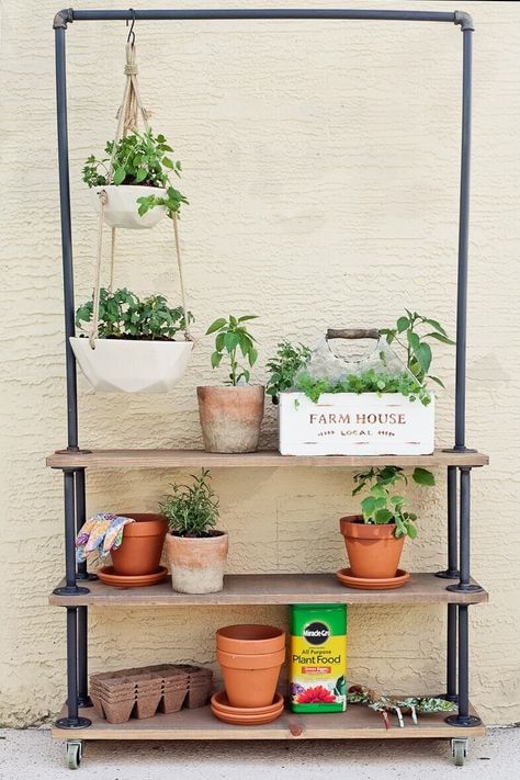 Hang Plants From Ceiling, Koti Diy, Framed Plants, Thrifty Diy, Diy Herb Garden, Modern Plant Stand, Garden Shelves, Vertical Herb Garden, Plant Stands Outdoor