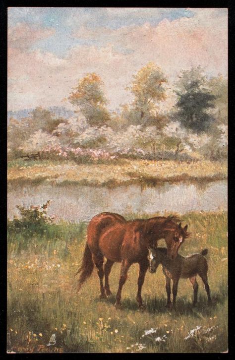 Horses In Pasture, Horse Background, Life In Russia, Vintage Art Paintings, Horse Face, Horse Drawing, Vintage Horse, Art Collage Wall, Horse Pictures