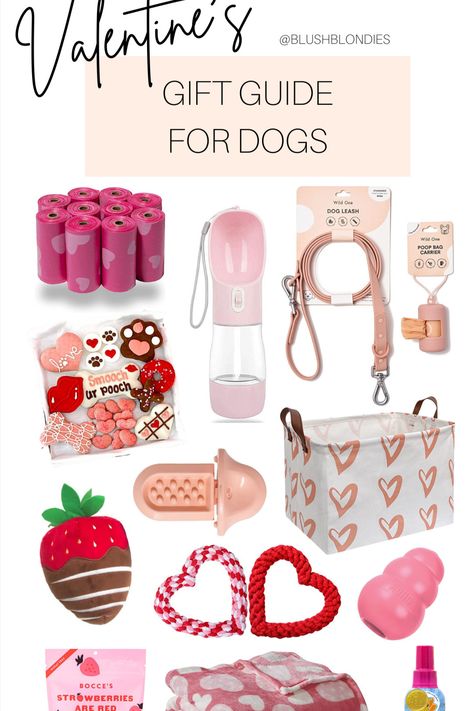 Dog Supplies Aesthetic, Dog Stuff Organization, Aesthetic Dog Supplies, Puppies Accessories, Dog Must Haves, Things For Dogs, Dog Room Design, Pet Gift Basket, Cute Dog Accessories