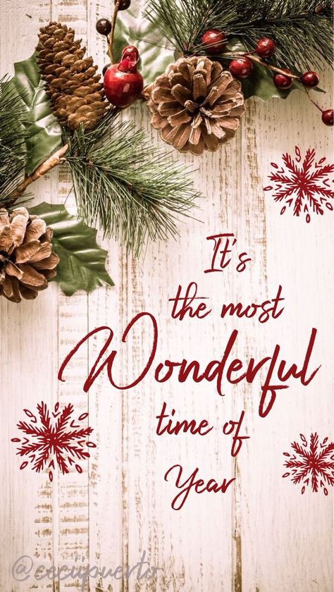 Xmas Quotes, Quotes Family, Amazon Christmas, Merry Christmas Wallpaper, Love Winter, Hello December, Christmas Labels, Wallpaper Iphone Christmas, Wallpaper Free