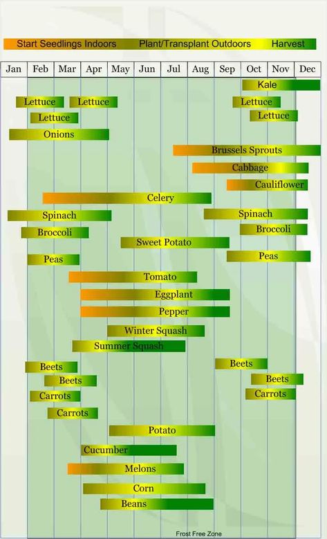 9b Gardening, Zone 9 Gardening, Vegetable Planting Calendar, Zone 9b, Seedlings Indoors, Vegetable Planting, Arizona Gardening, Planting Calendar, Florida Garden