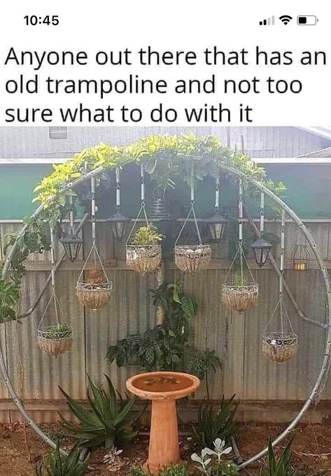 Recycled Trampoline, Garden Trampoline, Old Trampoline, Gardening Hacks, Trampolines, Landscaping Design, Backyard Projects, Perfect Garden, Landscape Ideas