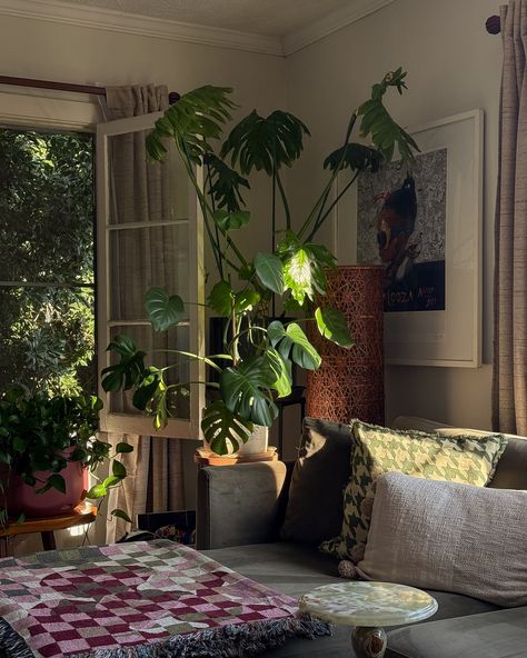 Fairy tale apartment 🧚⛅️🌿🛋️ #interiorstyling #houseplants #livingroomdecor Home Plants Aesthetic, Overgrown Apartment Aesthetic, Plants Nyc Apartment, Plant Room Aesthetic Cottage Core, Nyc Plant Apartment Aesthetic, Closet Mirror, Room Plants Aesthetic Indie, Home Plants, Plants Aesthetic