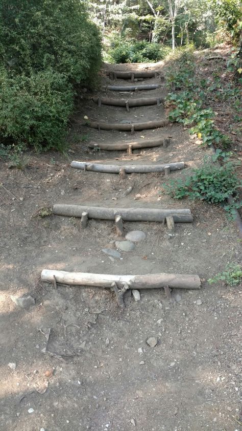 Log steps. Log Steps, Garden Stairs, Future Dreams, Stairs, Cabin, Log