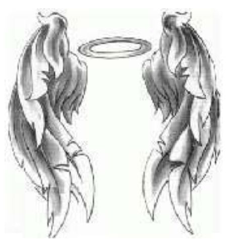 This would be cute as a tattoo with a cross comming down through the halo. Hmmm future ideas!! Angel Wings Halo Tattoo, Angel Wings Pictures, Halo Tattoo, Wing Tattoo Designs, Fairy Tattoo Designs, Wings Drawing, Angel Wings Tattoo, Wing Tattoo, Angel Drawing