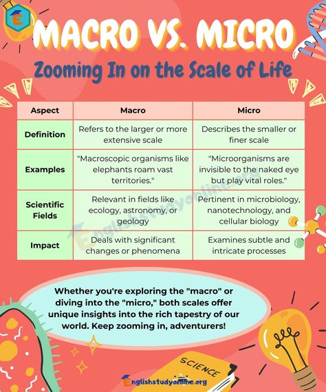 Micro Economics, Bullet Journal Work, Nanotechnology, Microbiology, Our World, The Two, Ecology, Geology, Economics