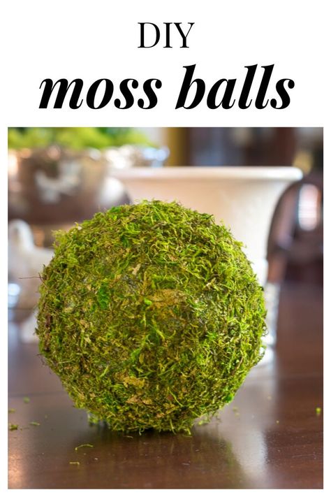 Moss Ball 101! Tired of trying to wrap a square sheet of moss around a foam ball? This easy DIY will add instant Spring to your home decor. Diy Moss Ball, Diy Moss, Diy Spring Crafts, Moss Ball, Moss Balls, Decorative Spheres, Italian Salad, Styrofoam Ball, Dough Bowl