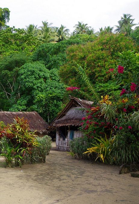 Village in VANUATU Figi Islands, Png Architecture, Vanuatu Travel, Port Vila, Peace Corps, Pacific Islands, Remote Island, Marshall Islands, Palau