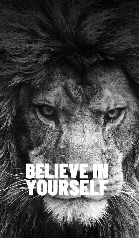 Lion Motivation Wallpaper, Lion Motivation, Dussehra Wallpapers, Birds Photography Nature, Gym Wallpaper, Lion Quotes, Logo Design Love, Lion Wallpaper, Boxing Quotes