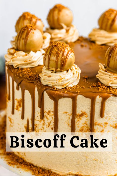 Biscoff Ganache, Cookie Butter Frosting, Cookie Butter Cake, Biscoff Truffles, Biscoff Buttercream, Biscoff Recipes, Biscoff Cake, Dijon Chicken, Cake Slices